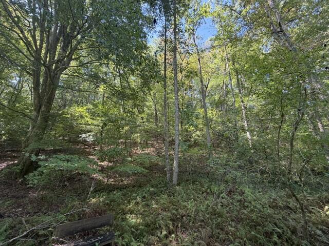 6.13-ac Lucius Road Blue Ridge, GA 30513 - Photo 18 of 21 Gallery Image 18