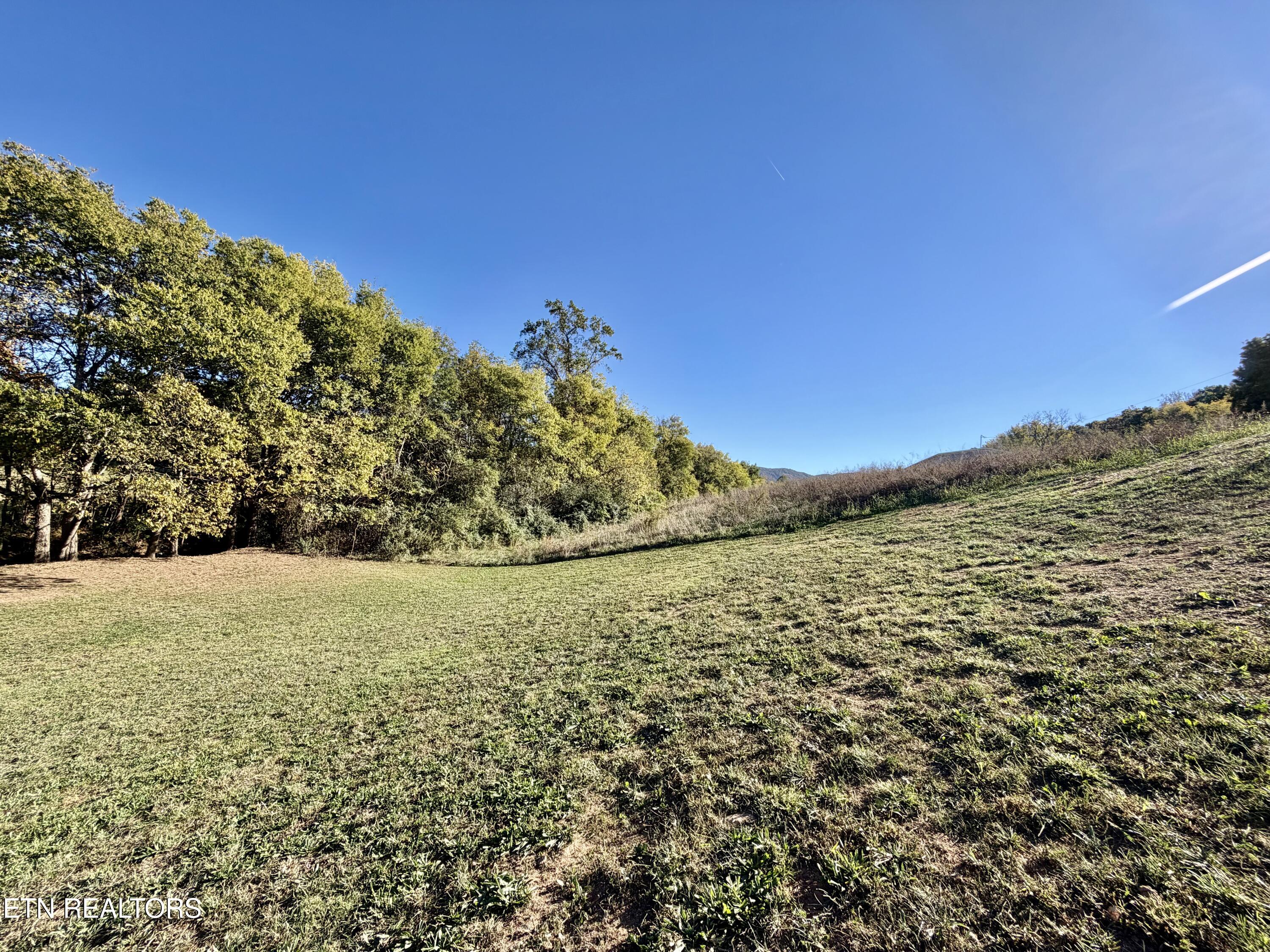 185 Little Meadow Creek Road Greeneville, TN 37743 - Photo 38 of 43 IMG_5203