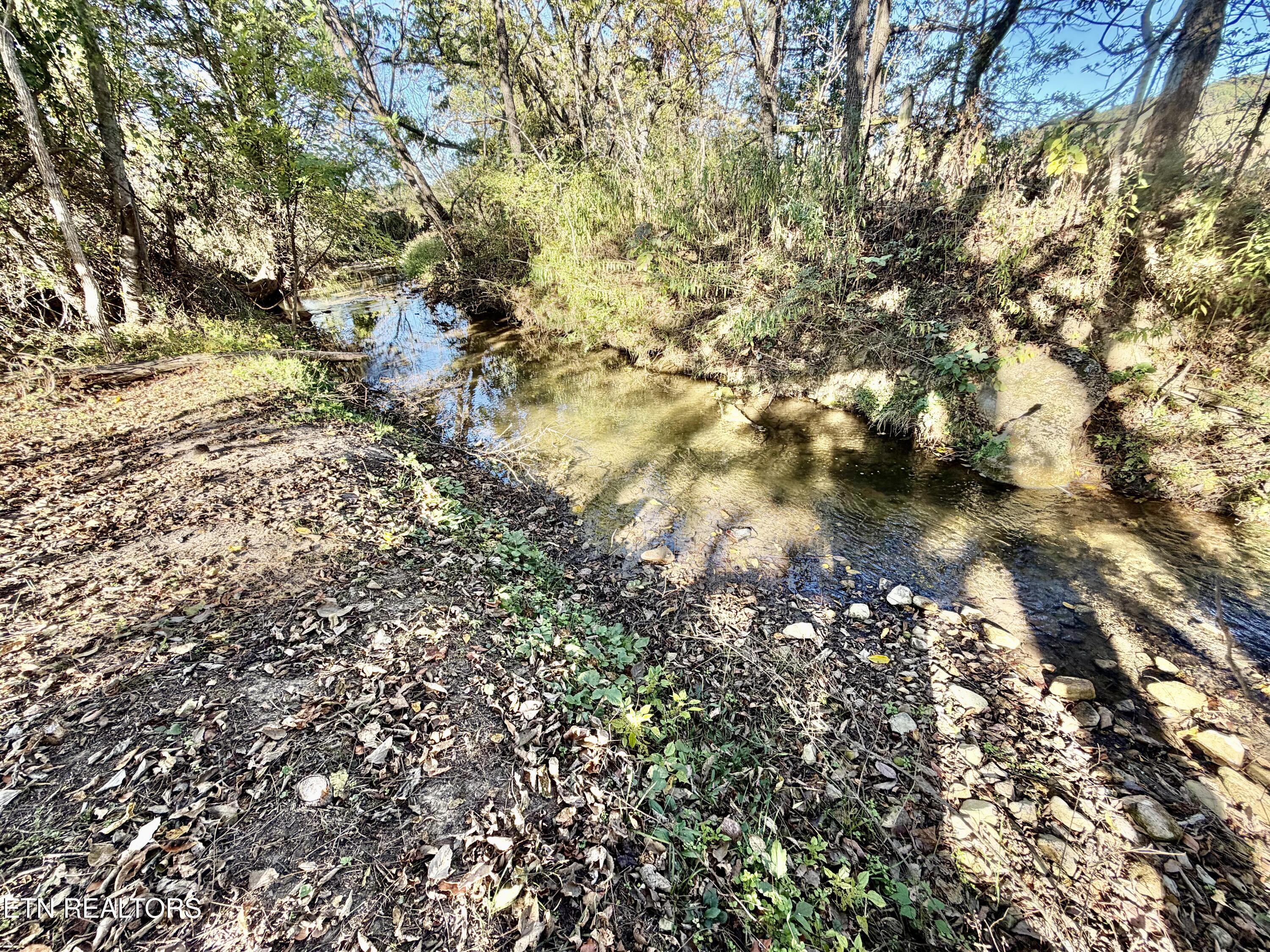 185 Little Meadow Creek Road Greeneville, TN 37743 - Photo 39 of 43 IMG_5209 (1)