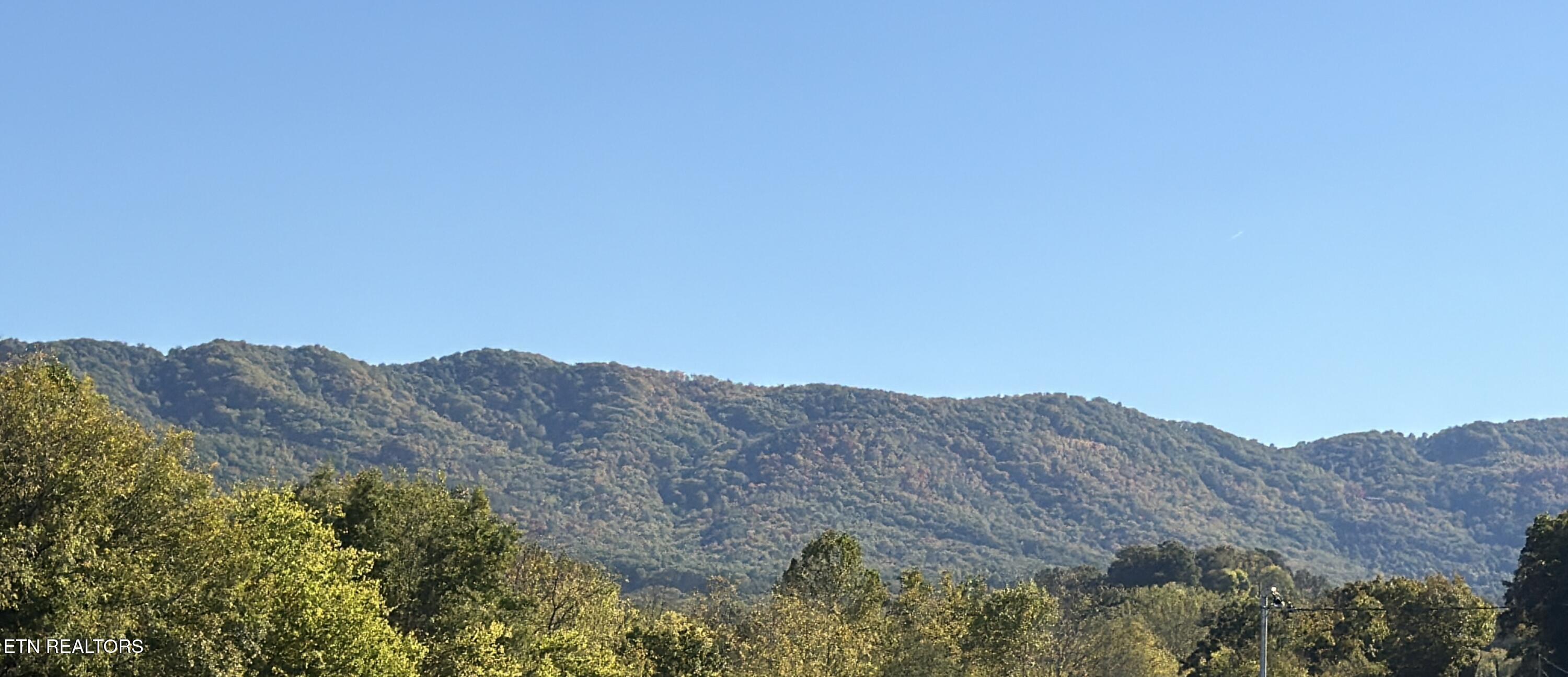 185 Little Meadow Creek Road Greeneville, TN 37743 - Photo 5 of 43 IMG_5125