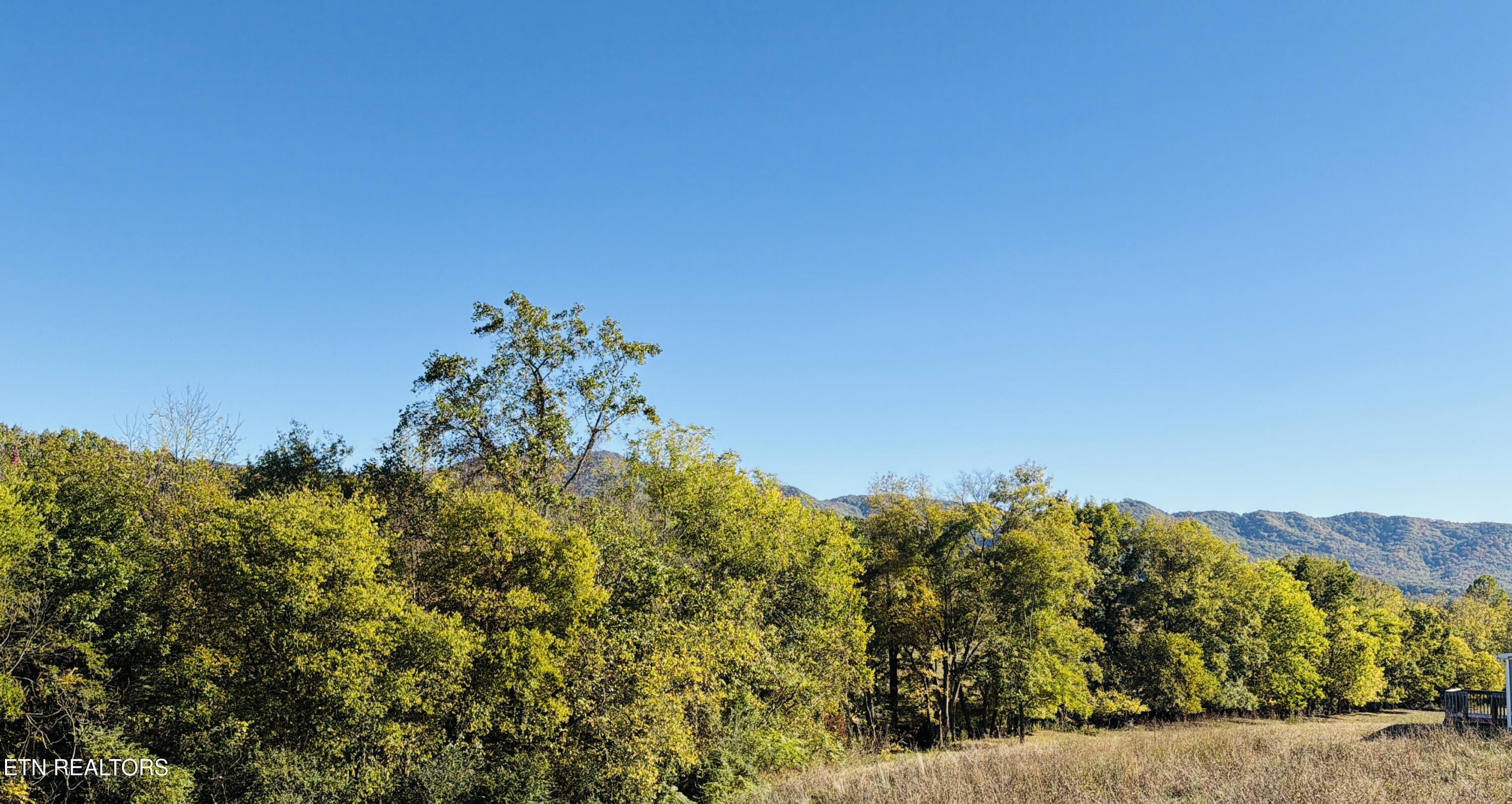 185 Little Meadow Creek Road Greeneville, TN 37743 - Photo 6 of 43 IMG_5144