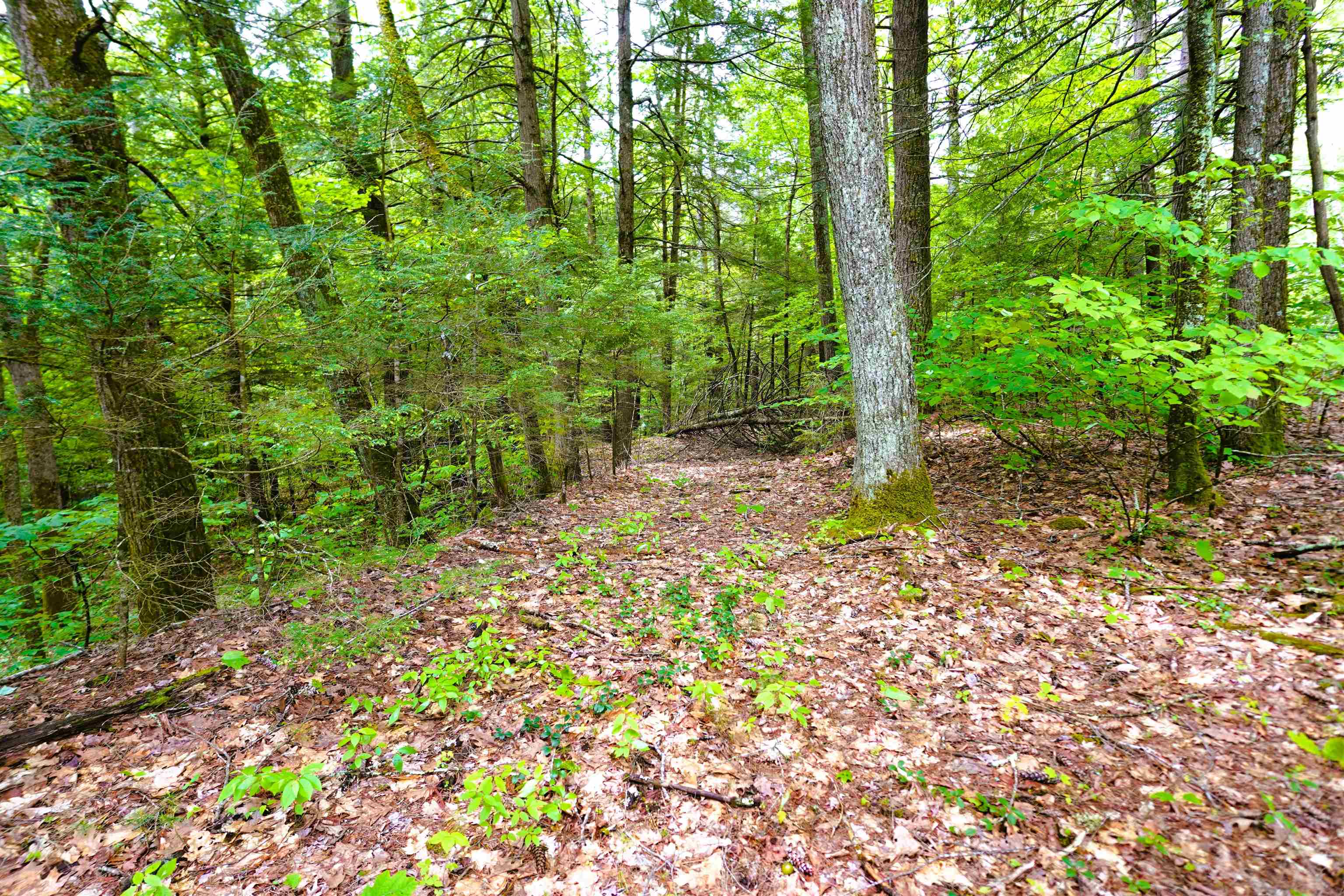 525 Richmond Road Winchester, NH 03470 - Photo 27 of 29