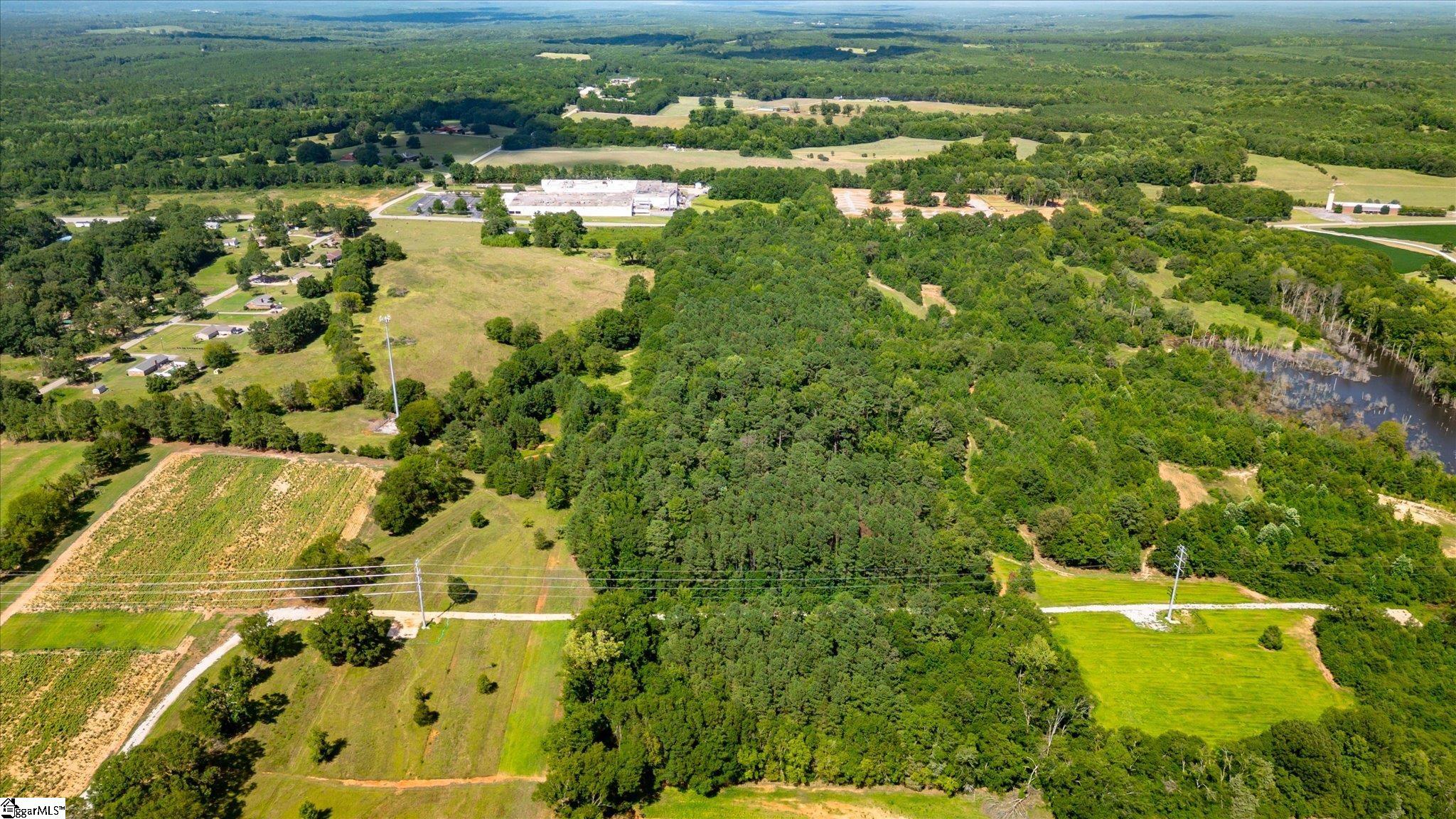 0 East 76th Highway Clinton, SC 29325 - Photo 10 of 13