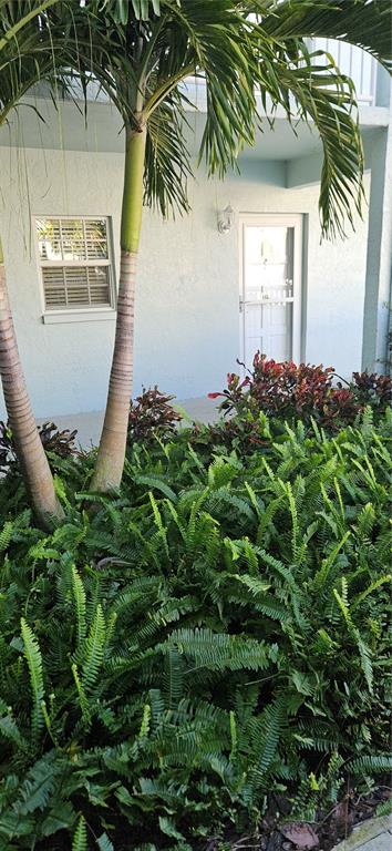 701 Poinsettia Road, Unit 126 Belleair, FL 33756 - Photo 3 of 24