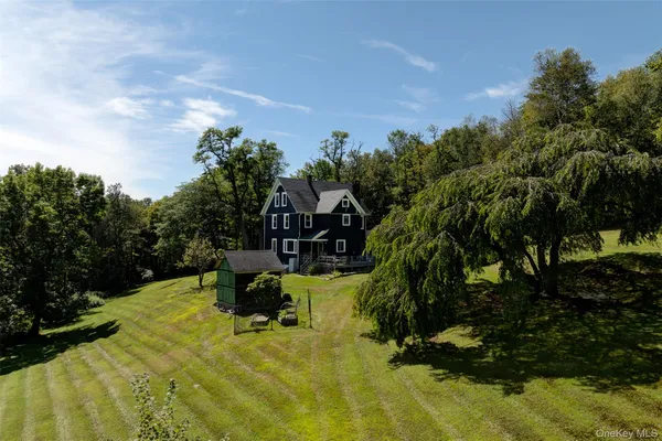 an aerial view of forest