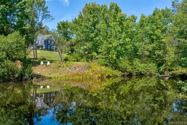 a view of a yard with plants and large trees
