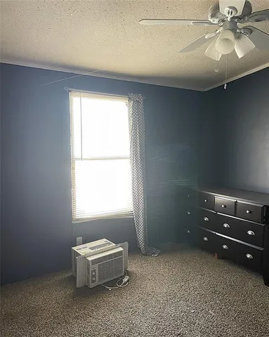 a view of a dry yard with large trees