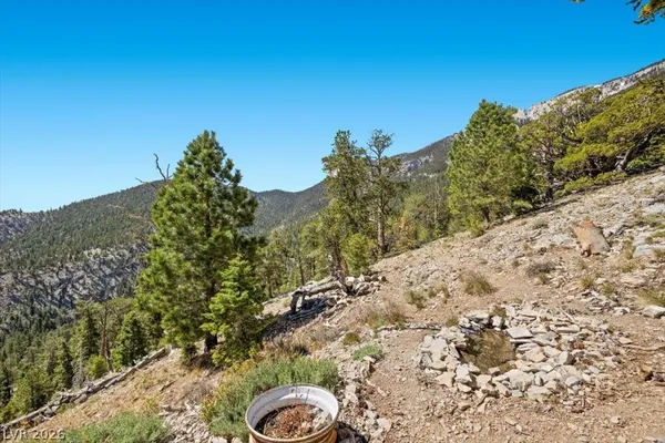 $399,000 | Apn 128-07-301-035 Cougar Ridge Mount, Mount Charleston, NV 89124