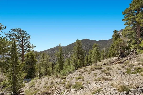 $399,000 | Apn 128-07-301-035 Cougar Ridge Mount, Mount Charleston, NV 89124