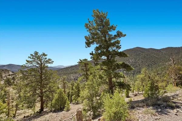 $399,000 | Apn 128-07-301-035 Cougar Ridge Mount, Mount Charleston, NV 89124