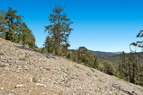 $399,000 | Apn 128-07-301-035 Cougar Ridge Mount, Mount Charleston, NV 89124