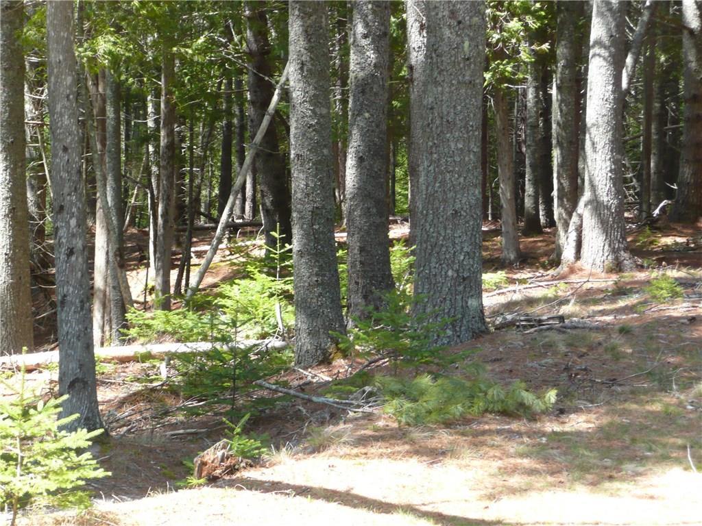 0 Salt Pond Road Hancock, ME 04640 - Photo 5 of 6 Photo