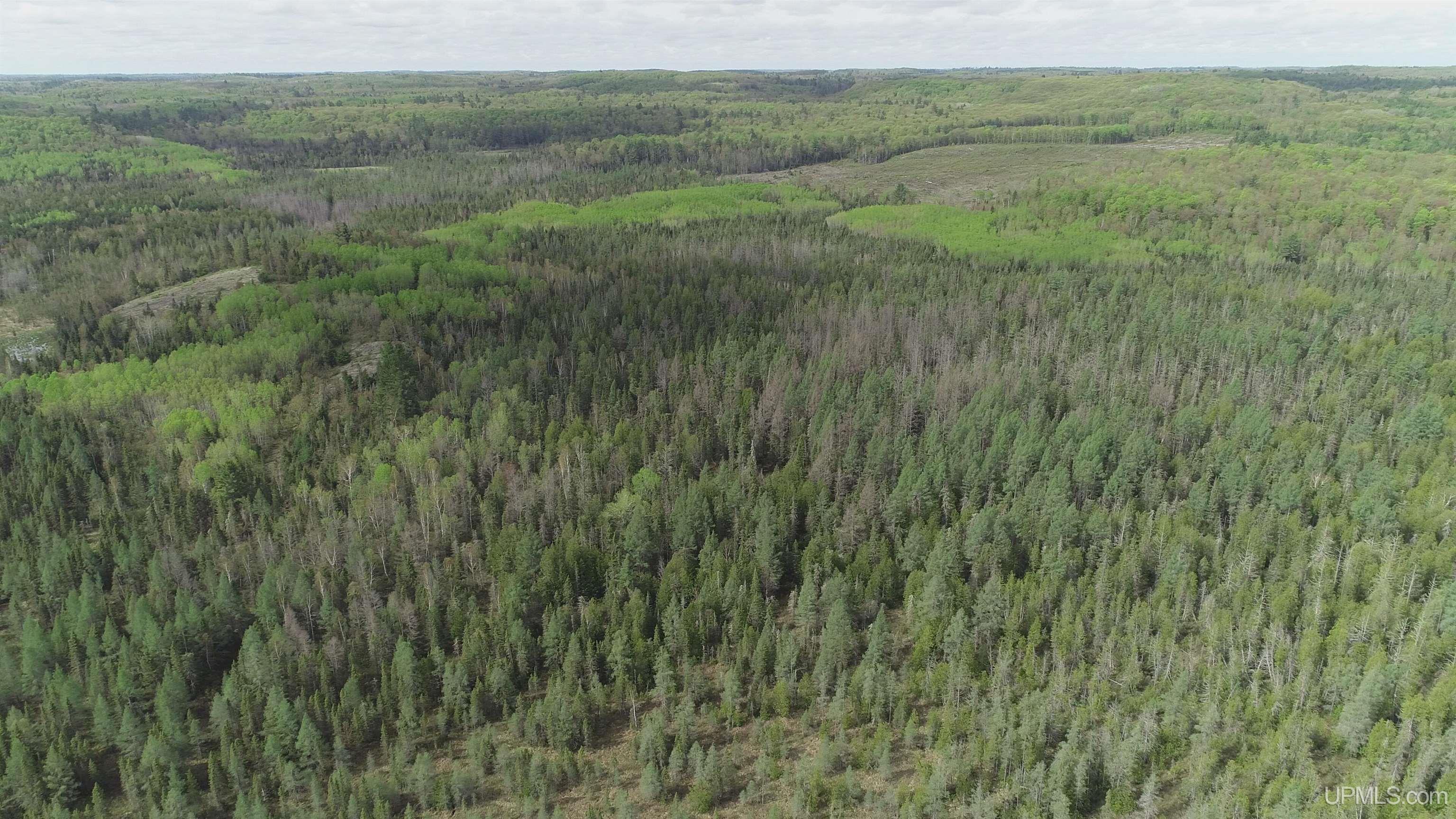 280-acres County Road CCN Road Negaunee, MI 49866 - Photo 35 of 48
