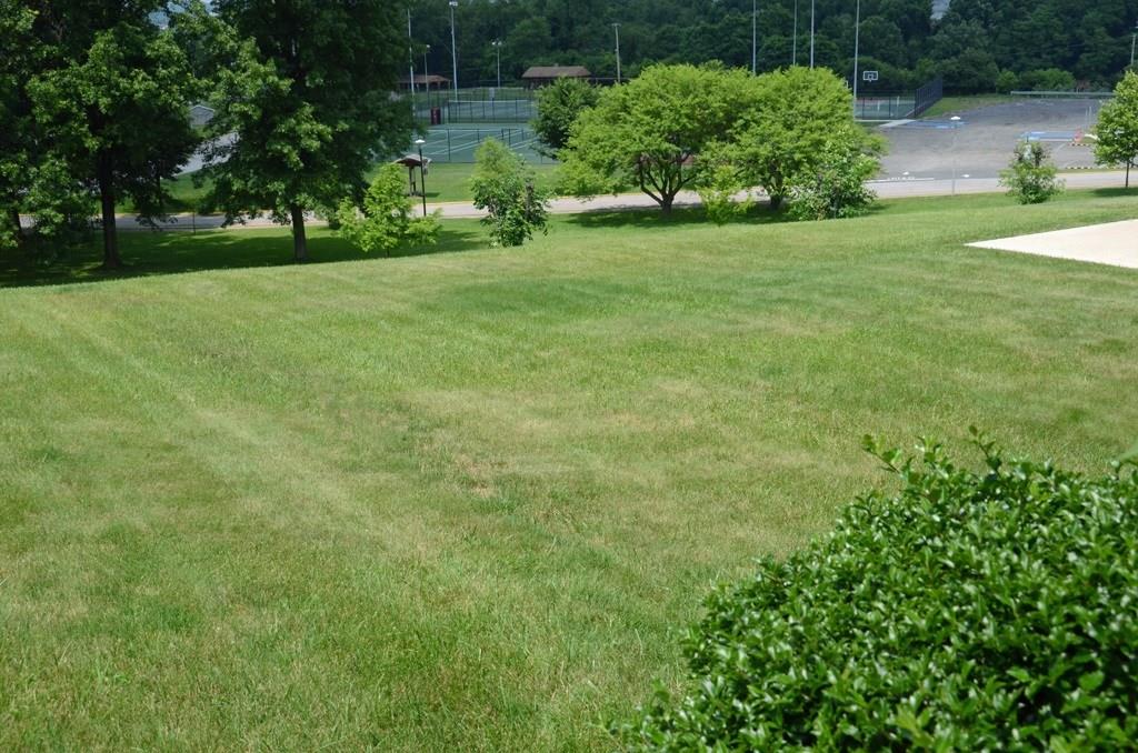 468 Lindsay Road Carnegie, PA 15106 - Photo 2 of 21 View of the backyard which also blends into Scott Township Park. Great area for kids playing games, adults entertaining. Walk to the park.
