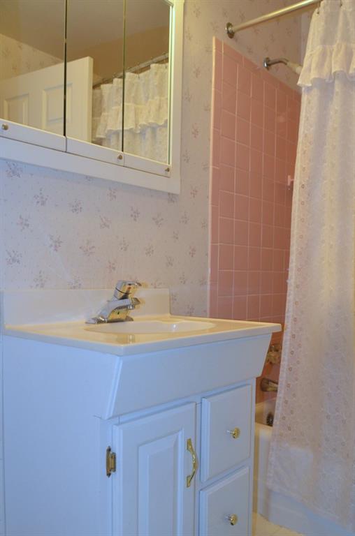 468 Lindsay Road Carnegie, PA 15106 - Photo 9 of 21 Corner view of the vanity and bathtub/shower.