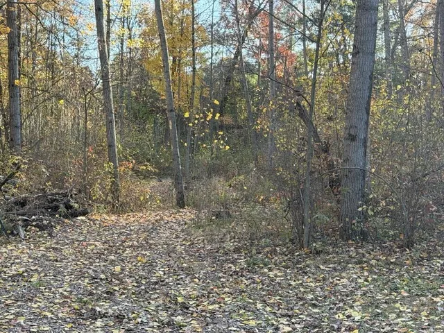 $242,000 | 9807 North Maple Hill Road, Howard City, MI 49329