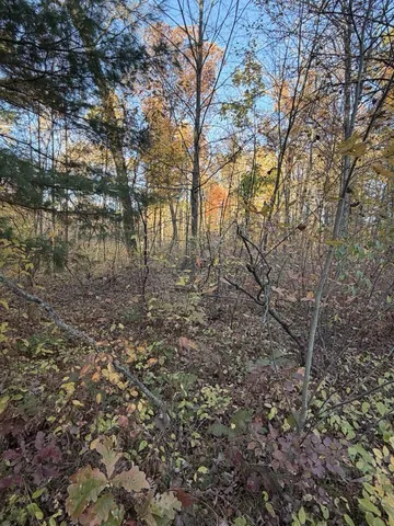 $242,000 | 9807 North Maple Hill Road, Howard City, MI 49329