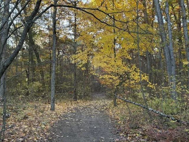 $242,000 | 9807 North Maple Hill Road, Howard City, MI 49329