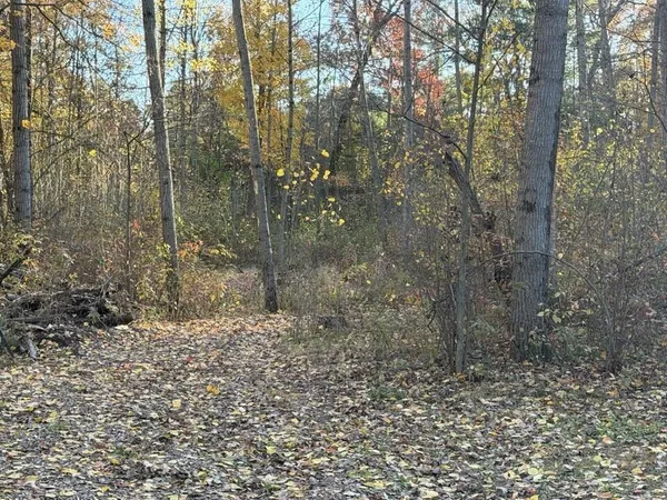 $234,500 | 9807 North Maple Hill Road, Howard City, MI 49329