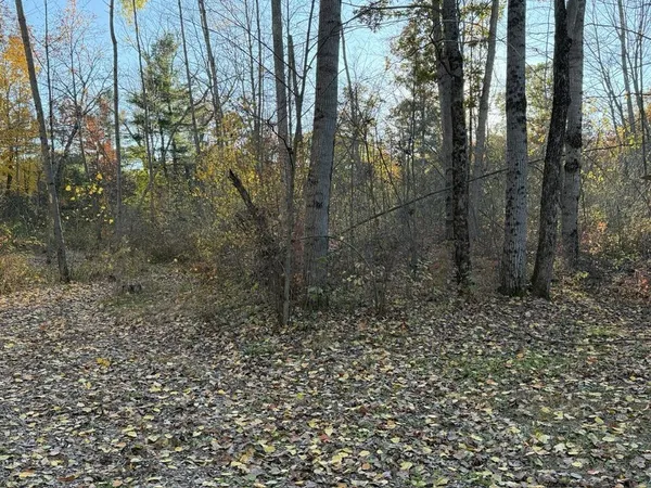 $234,500 | 9807 North Maple Hill Road, Howard City, MI 49329