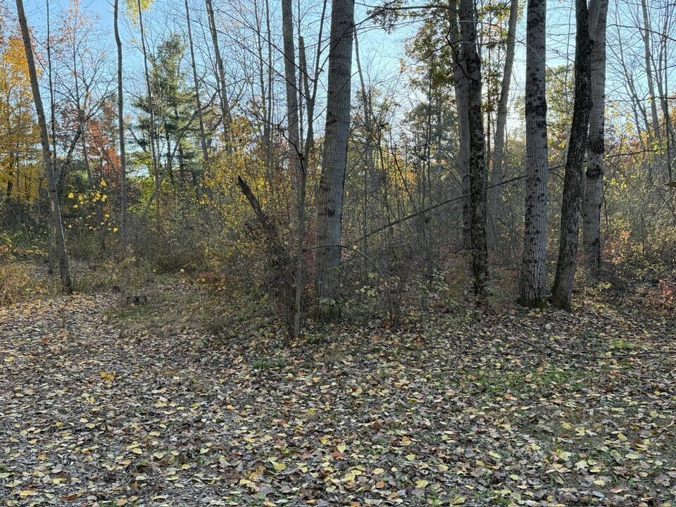 9807 North Maple Hill Road Howard City, MI 49329 - Photo 42 of 50 587139414_10239804659205136_141816355724