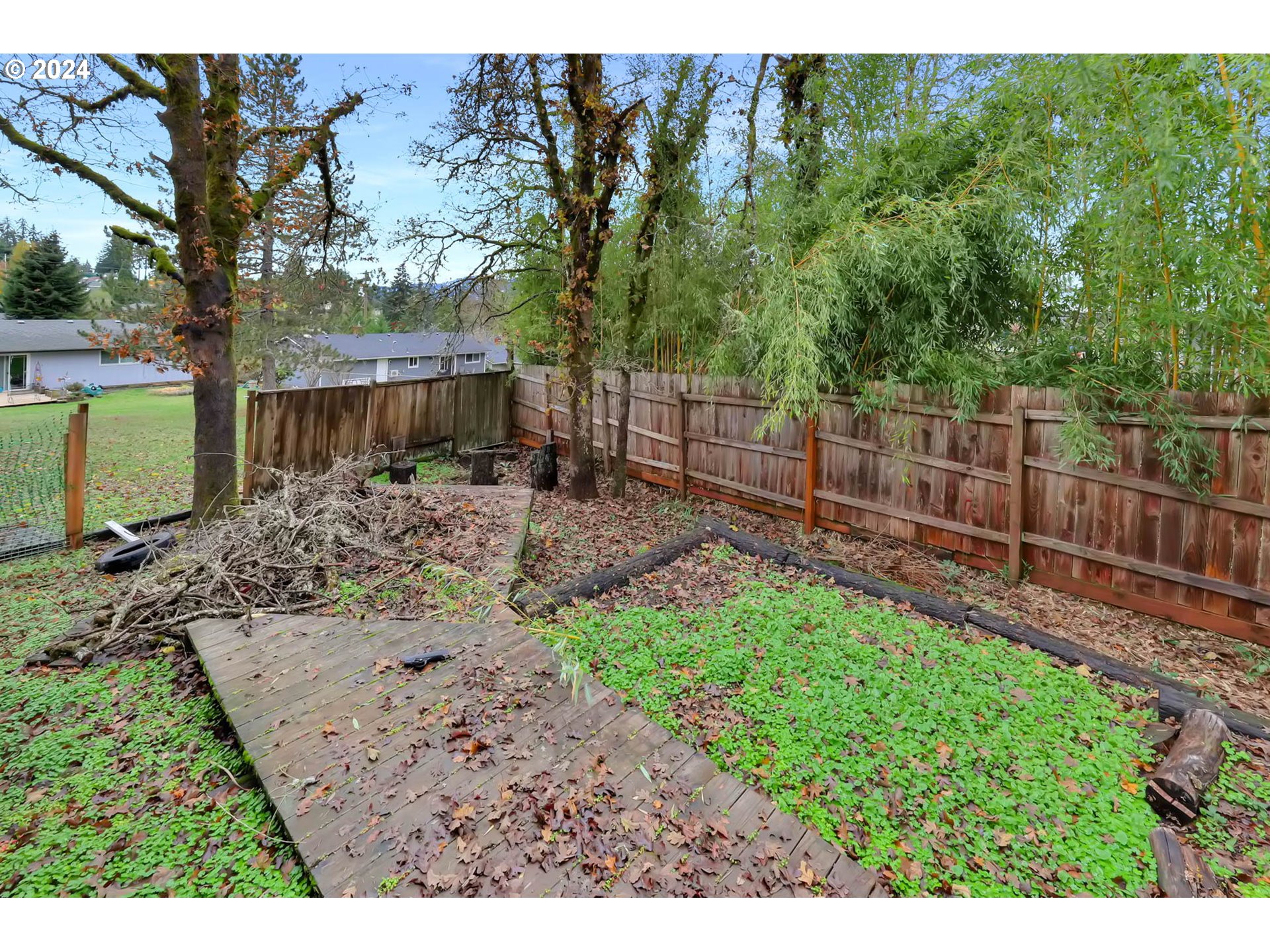 590 South 71st Street Springfield, OR 97478 - Photo 42 of 44 a view of a backyard with trees