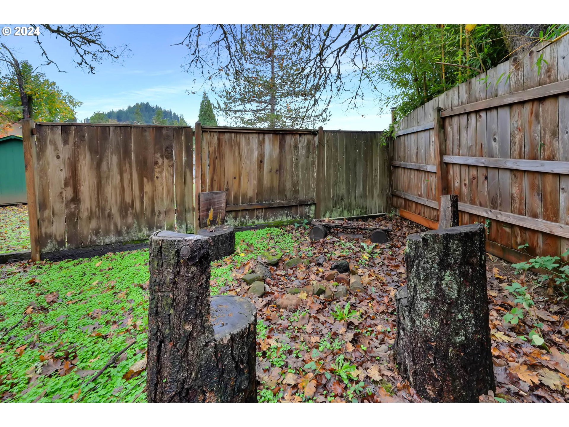 590 South 71st Street Springfield, OR 97478 - Photo 43 of 44 a backyard of a house with lots of green space