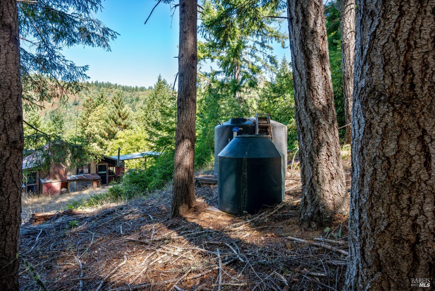 0 Low Gap Road Ukiah, CA 95482 - Photo 11 of 20 a view of a outdoor space