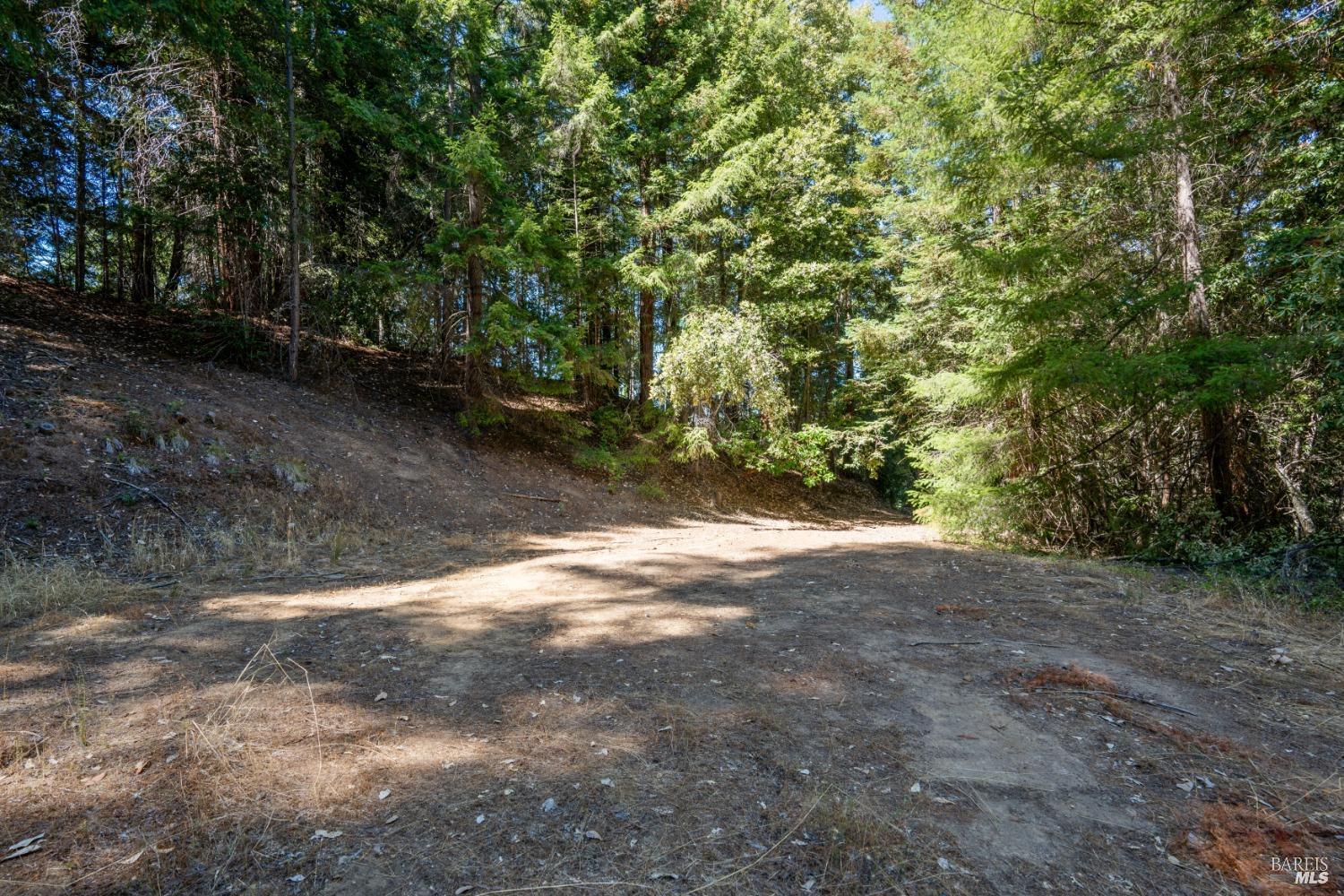 0 Low Gap Road Ukiah, CA 95482 - Photo 12 of 20 a view of a yard with a tree