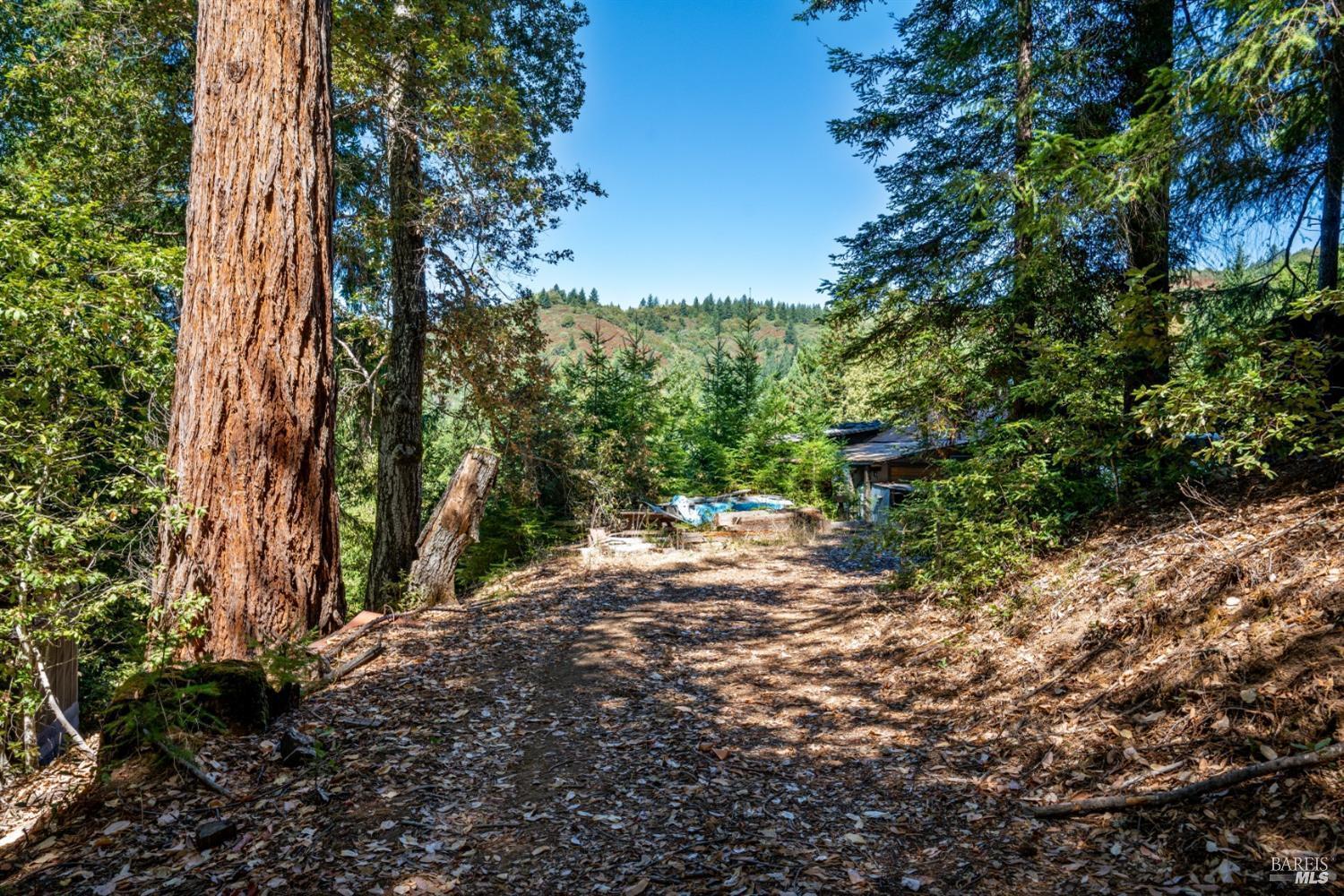 0 Low Gap Road Ukiah, CA 95482 - Photo 14 of 20 a pathway of a yard