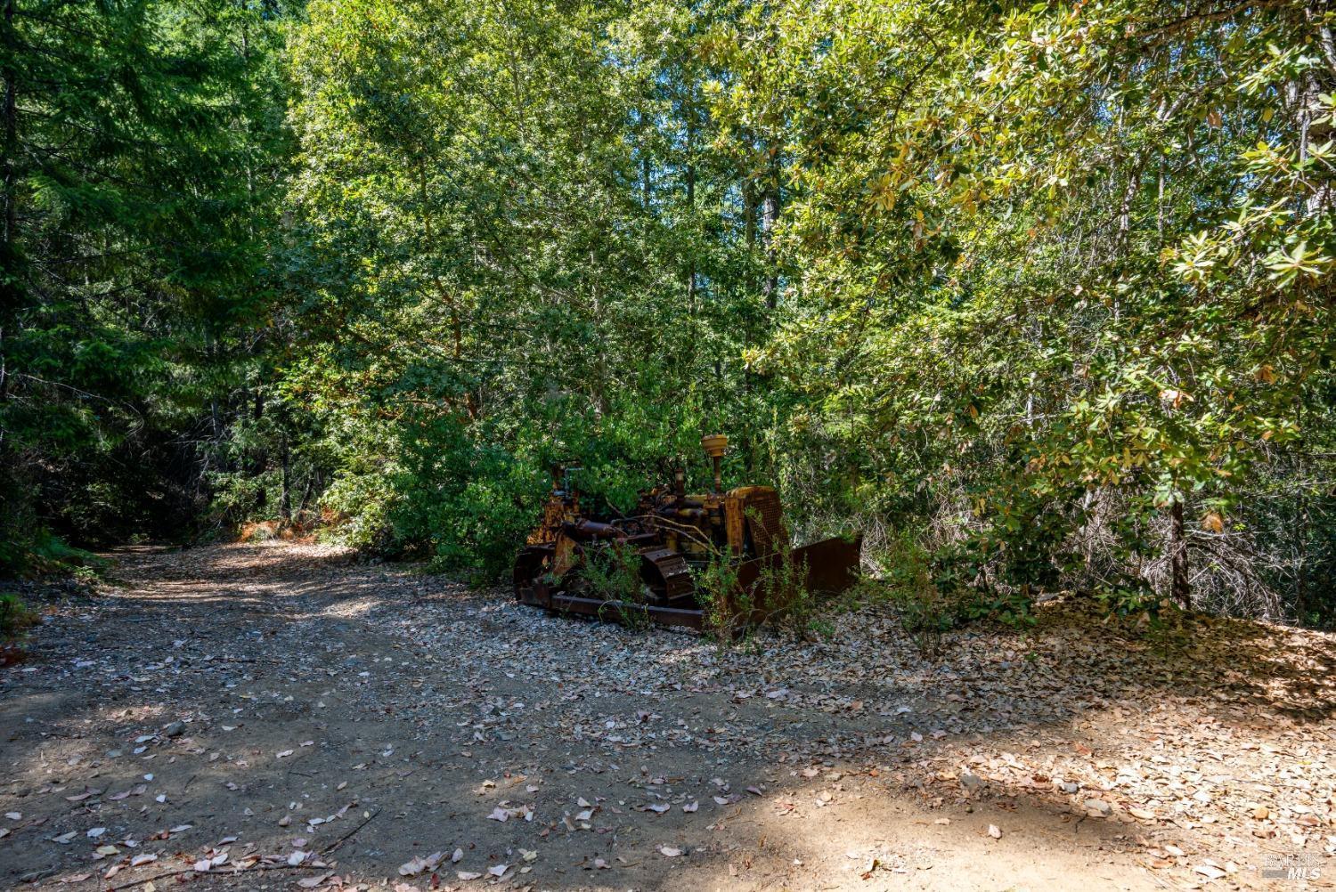 0 Low Gap Road Ukiah, CA 95482 - Photo 16 of 20 a view of a forest with trees in the background