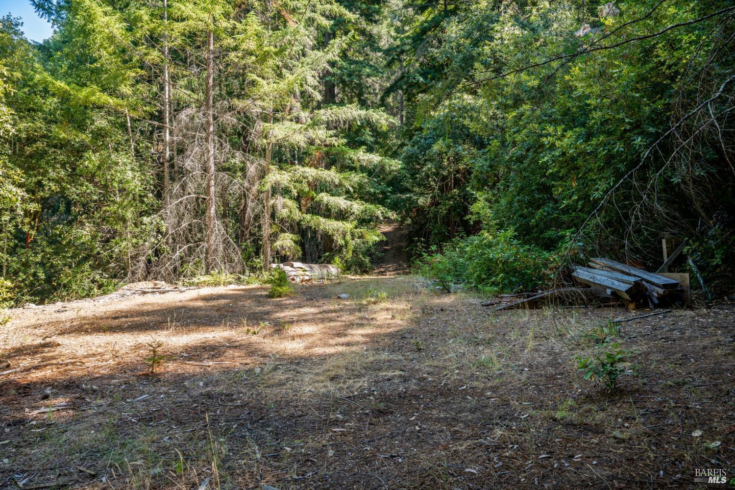 0 Low Gap Road Ukiah, CA 95482 - Photo 17 of 20 a view of a yard with a tree
