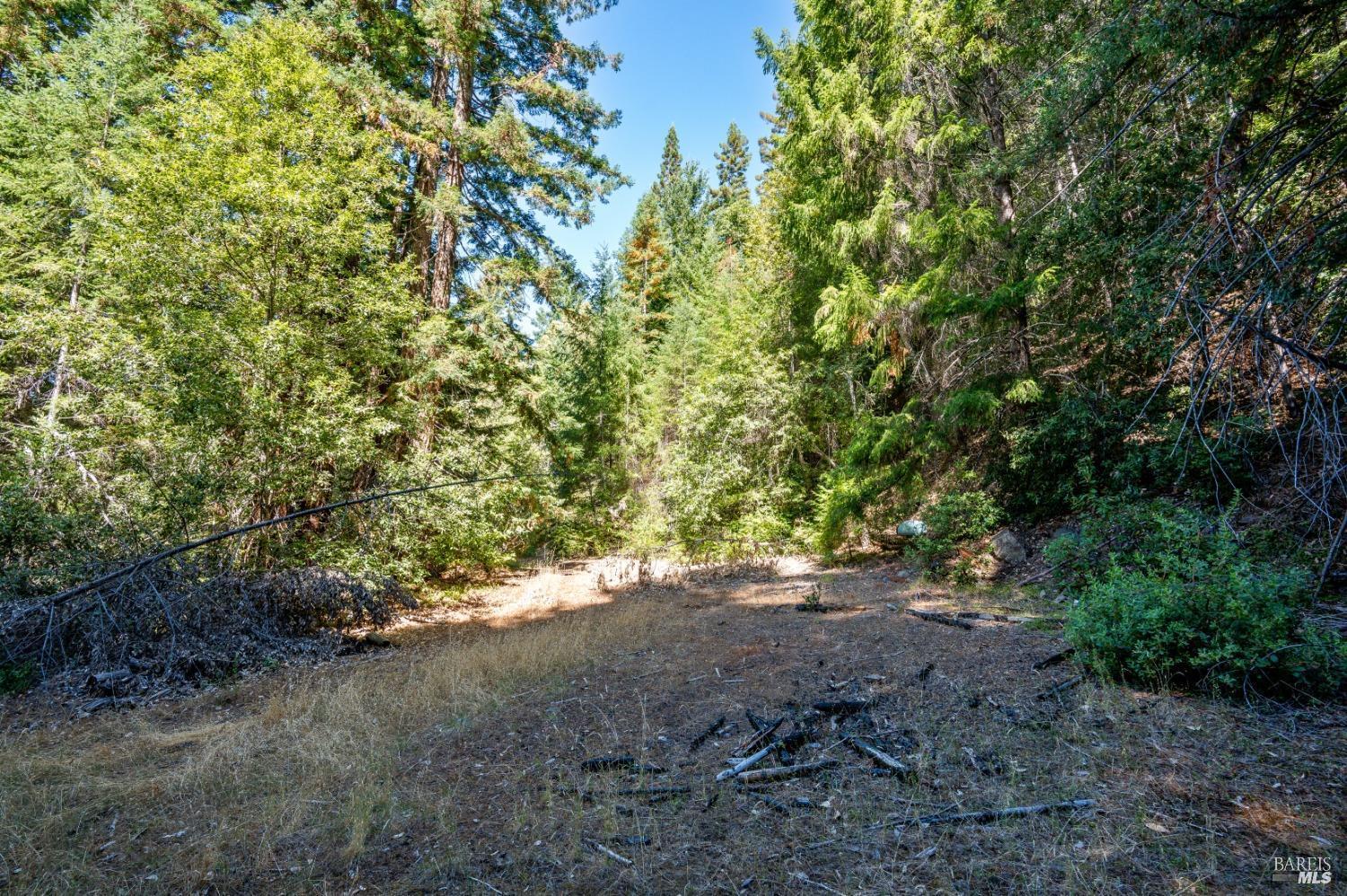 0 Low Gap Road Ukiah, CA 95482 - Photo 20 of 20 a view of a yard with a tree