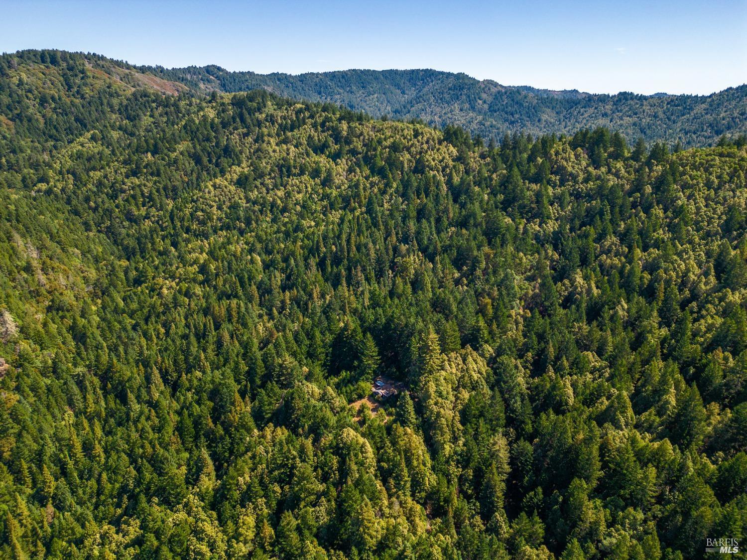 0 Low Gap Road Ukiah, CA 95482 - Photo 6 of 20 a view of a lush green forest with a mountain