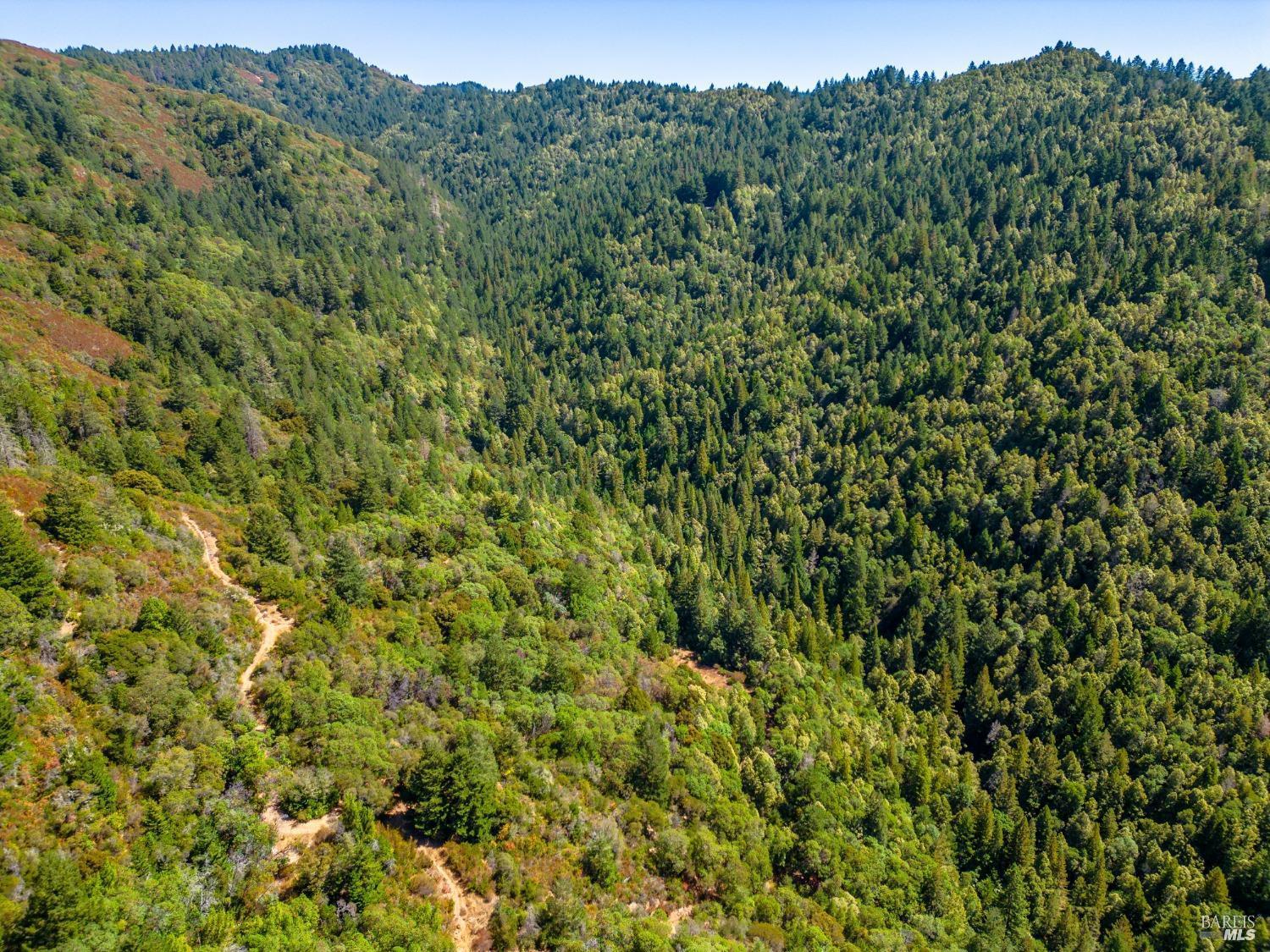 0 Low Gap Road Ukiah, CA 95482 - Photo 7 of 20 a view of a large yard with lots of green space