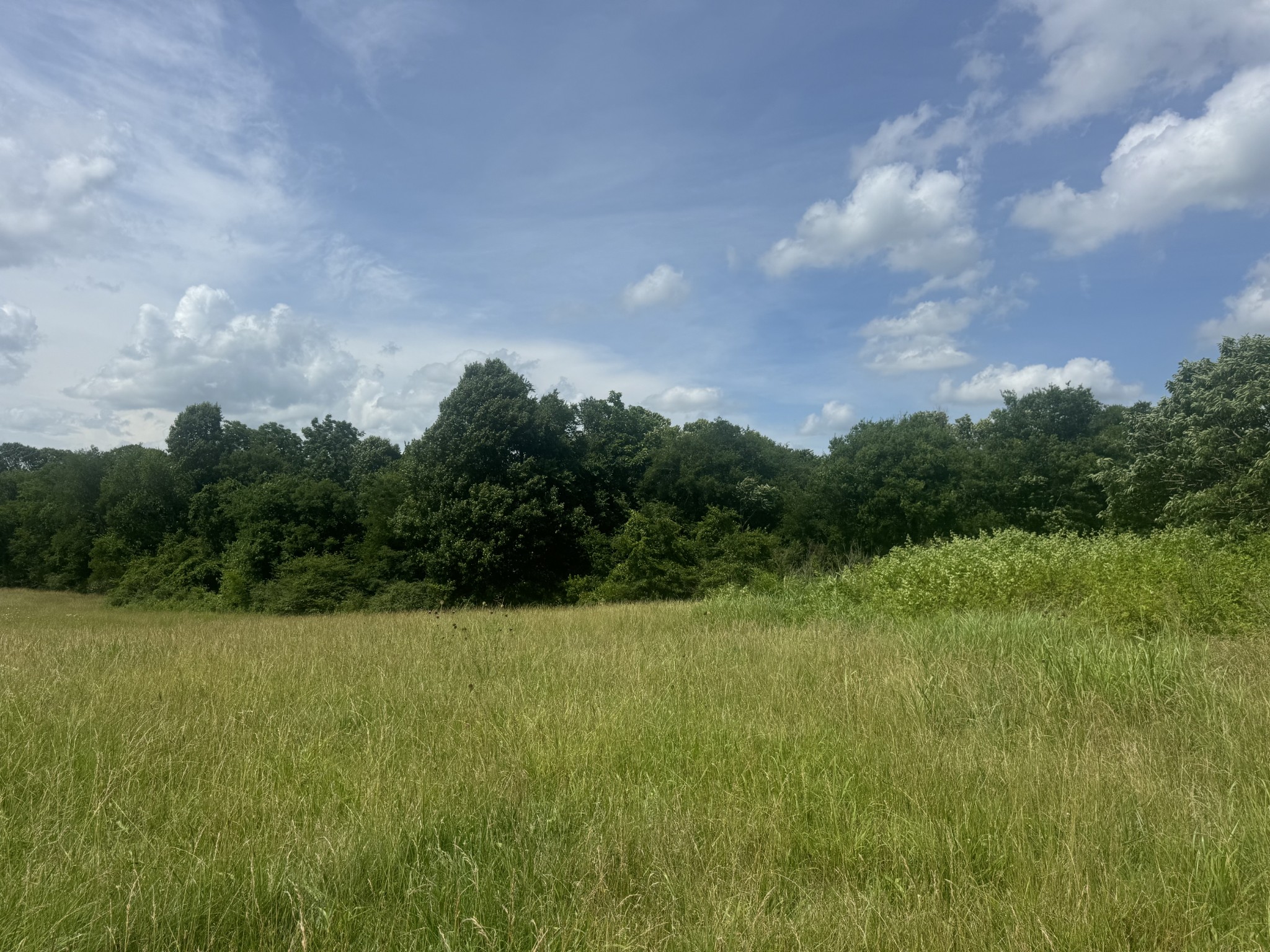 210 Wheel Road Shelbyville, TN 37160 - Photo 13 of 19