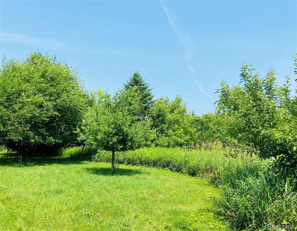 10023 Silver Lake Road Linden, MI 48451 - Photo 7 of 17