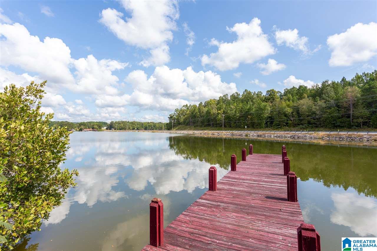 59 Mohawk Trail Ohatchee, AL 36271 - Photo 33 of 47