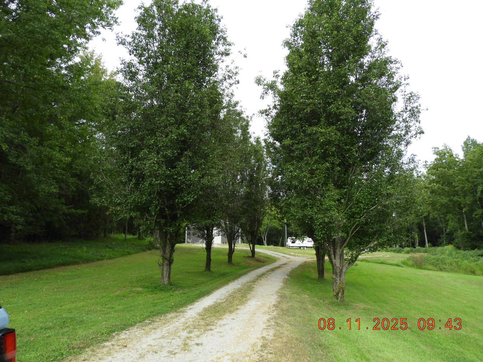 1240 Johnson Branch Road Pulaski, TN 38478 - Photo 13 of 68 a huge green field with lots of trees