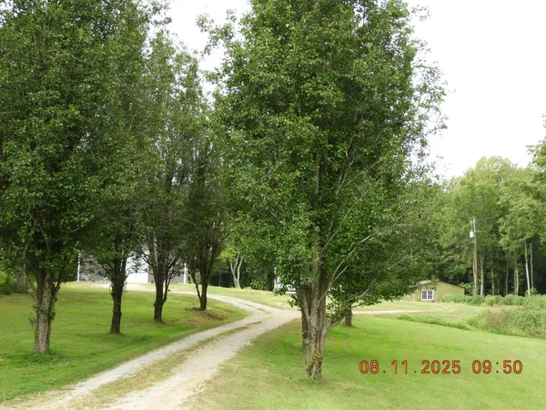 $275,000 | 1240 Johnson Branch Road, Pulaski, TN 38478