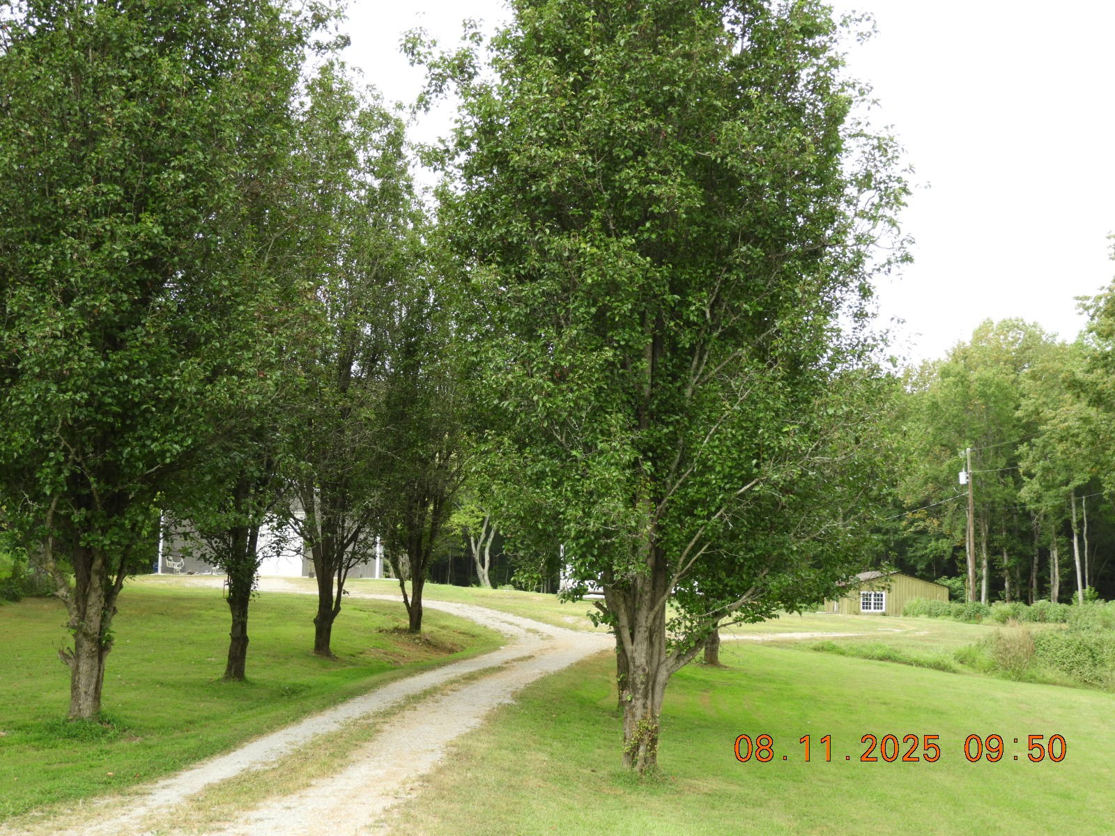 1240 Johnson Branch Road Pulaski, TN 38478 - Photo 18 of 68