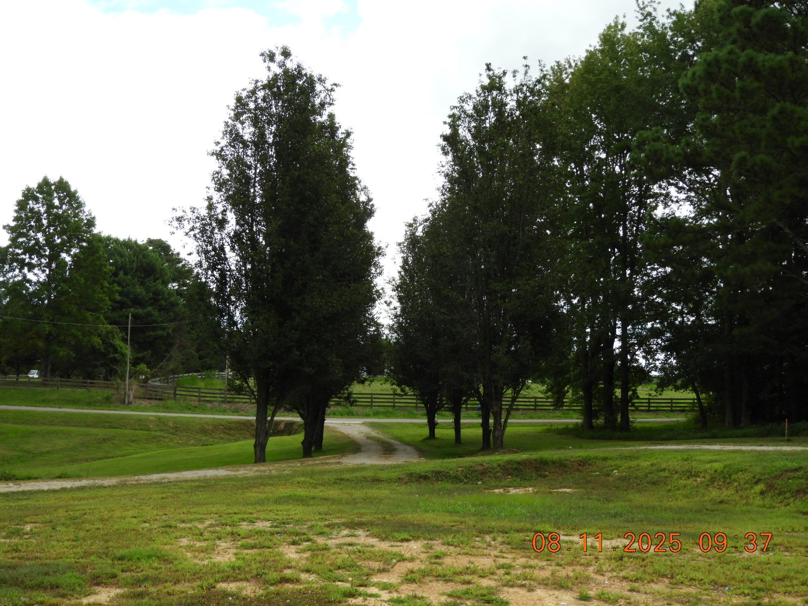 1240 Johnson Branch Road Pulaski, TN 38478 - Photo 19 of 68 a view of a park with trees in the background