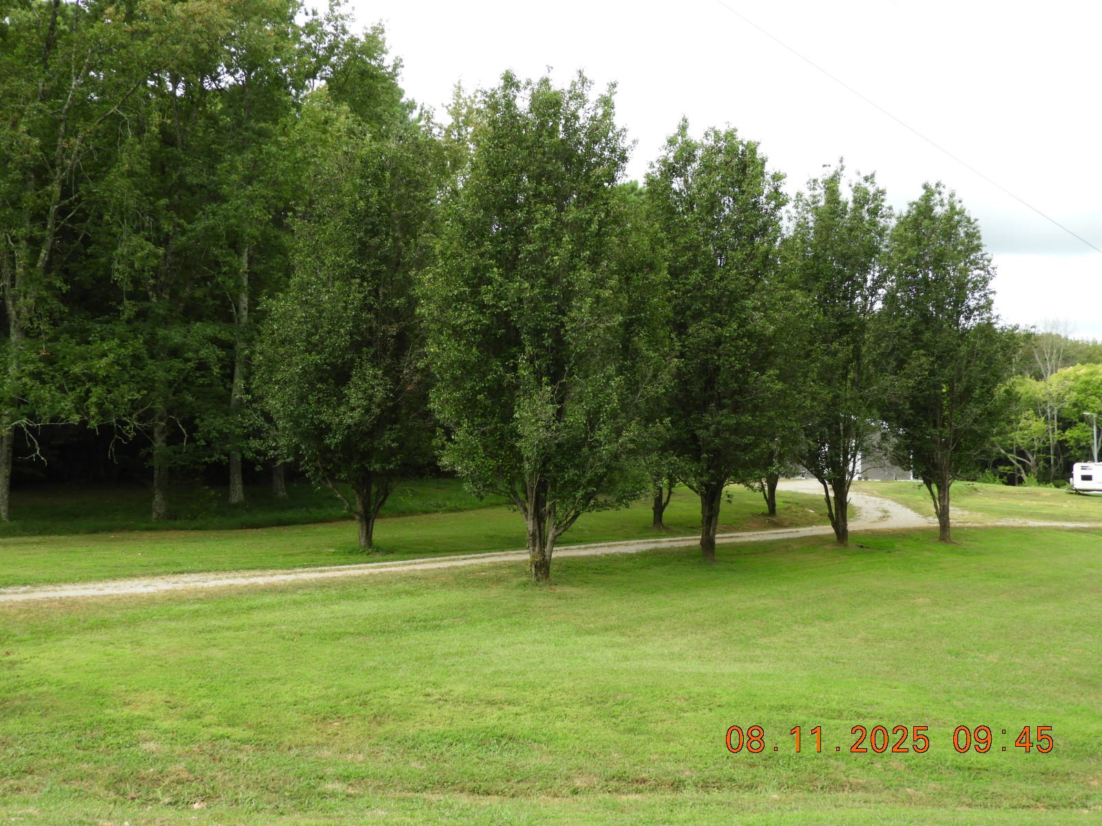 1240 Johnson Branch Road Pulaski, TN 38478 - Photo 20 of 68