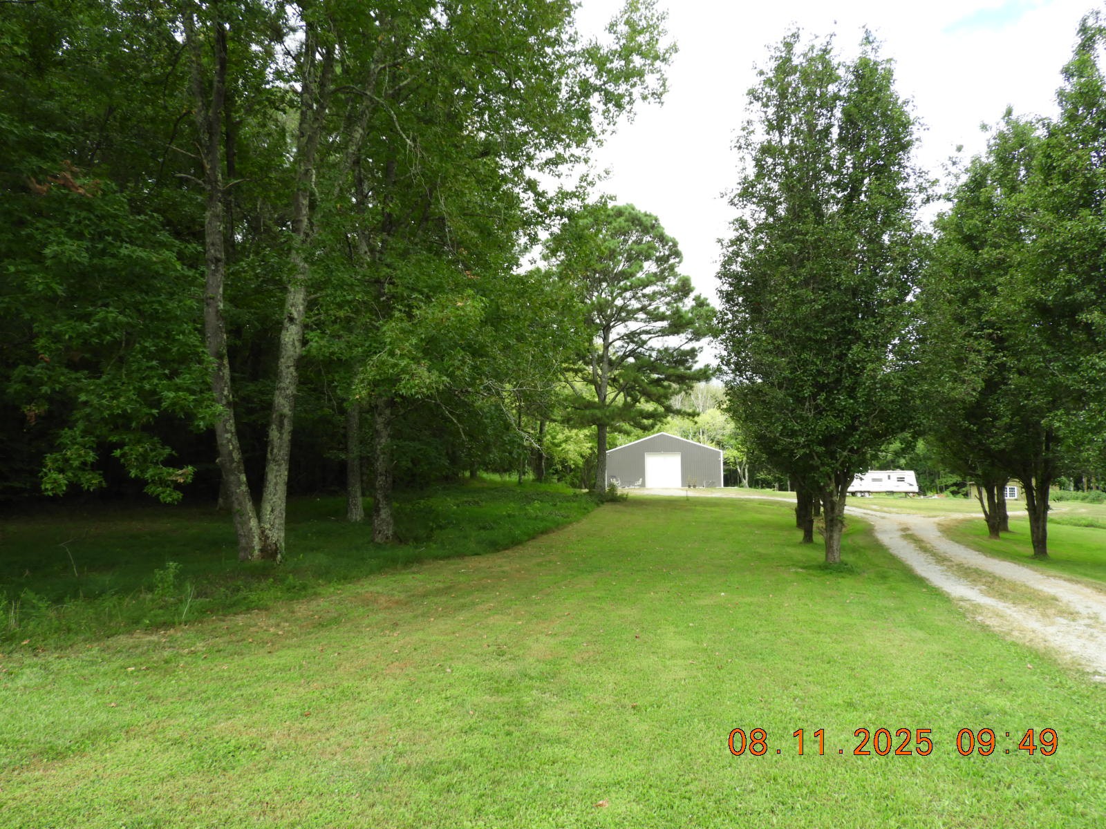 1240 Johnson Branch Road Pulaski, TN 38478 - Photo 22 of 68 a huge green field with lots of trees