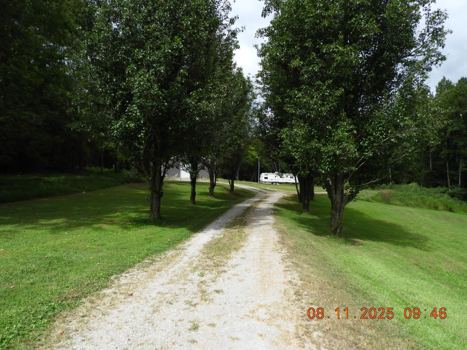 1240 Johnson Branch Road Pulaski, TN 38478 - Photo 23 of 68 a view of a park with trees