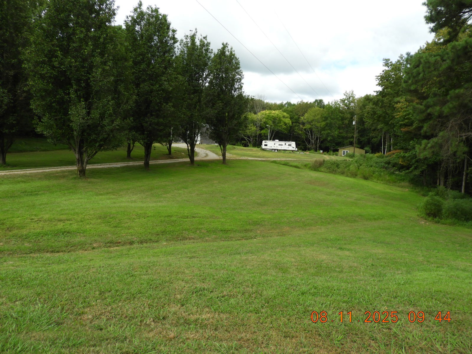 1240 Johnson Branch Road Pulaski, TN 38478 - Photo 24 of 68 a view of a trees in a yard