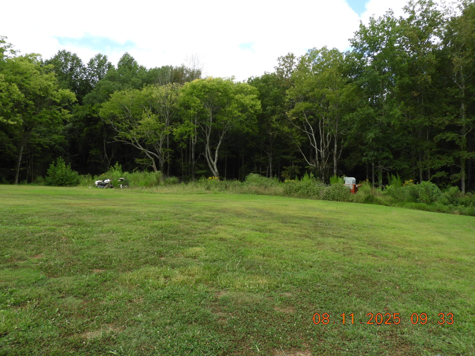 1240 Johnson Branch Road Pulaski, TN 38478 - Photo 29 of 68