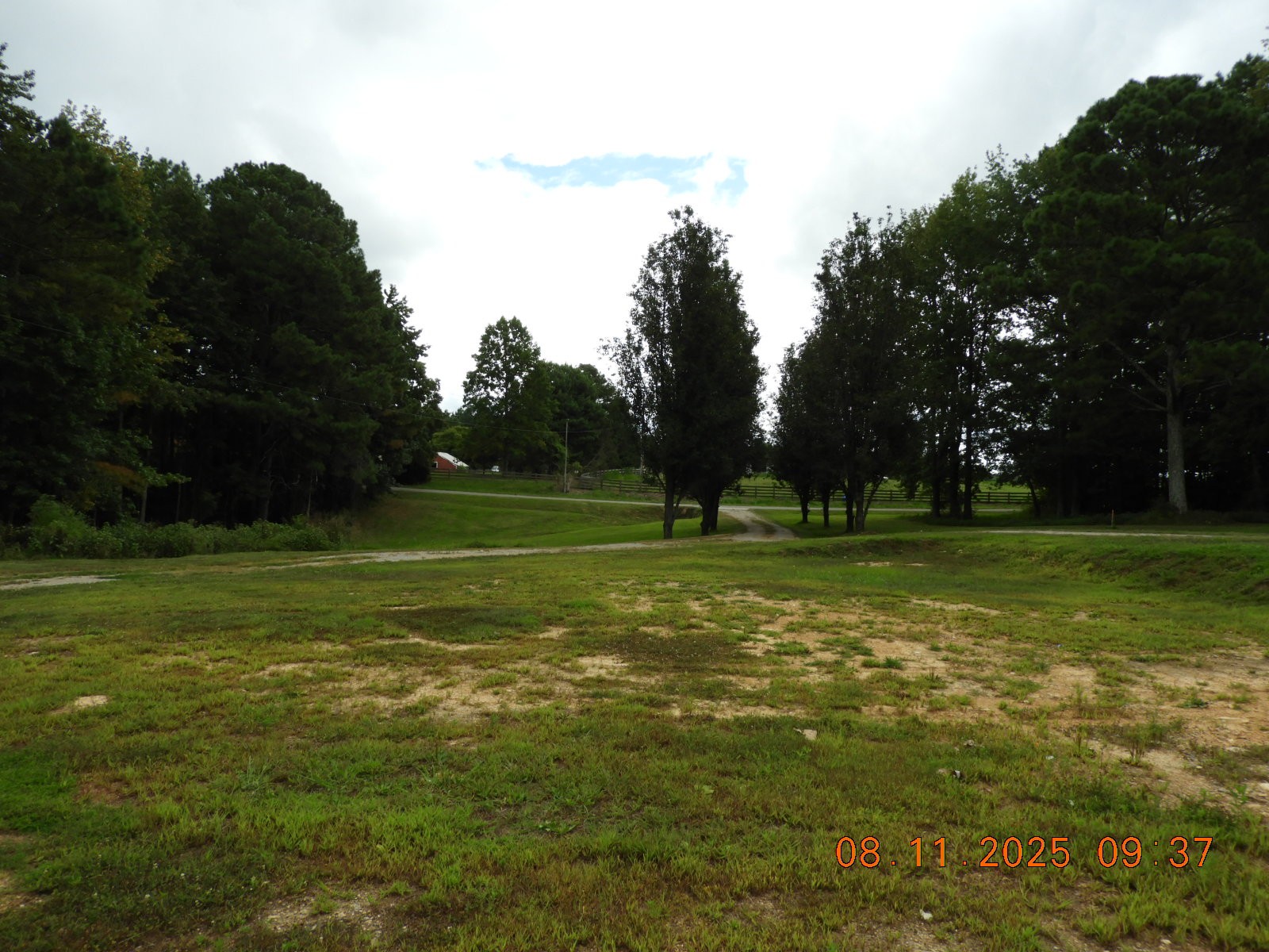 1240 Johnson Branch Road Pulaski, TN 38478 - Photo 30 of 68 a view of a field with trees