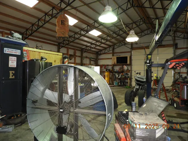 a view of a forest with trees in the background