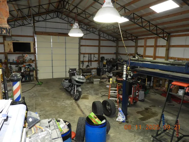 a view of a forest that has large trees